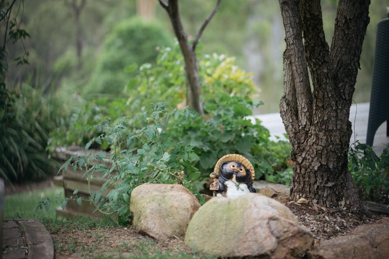 Elfin Hill Vineyard Accommodation โพโคลบิน ภายนอก รูปภาพ