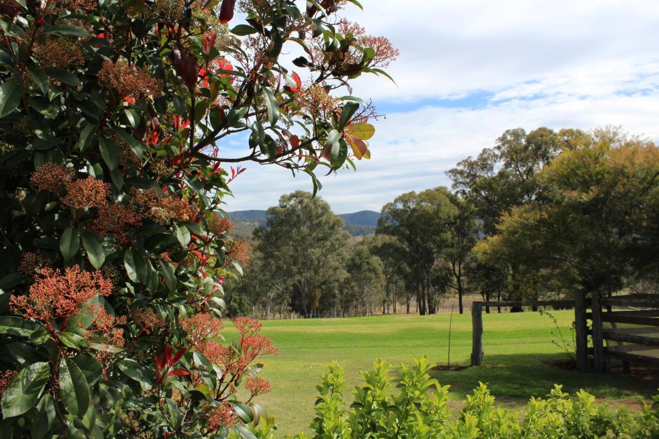 Elfin Hill Vineyard Accommodation โพโคลบิน ภายนอก รูปภาพ